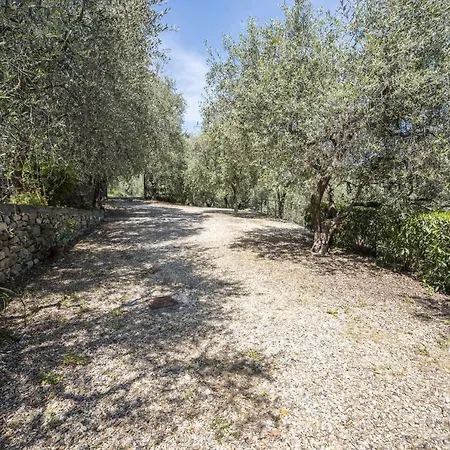 Spighe Di Grano Imperia